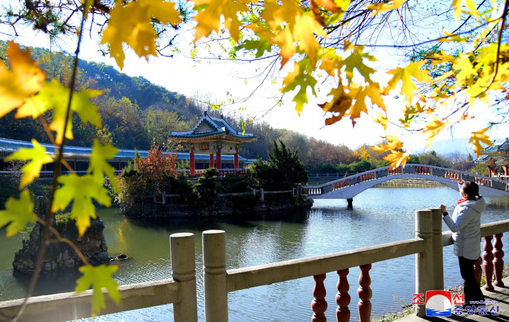 룡악산의 아름다운 단풍계절