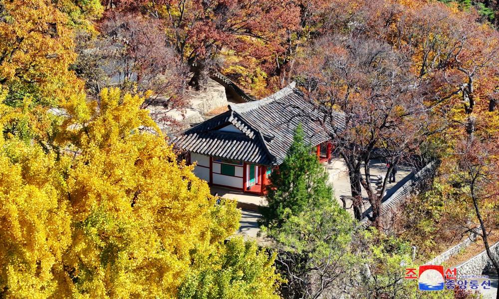 룡악산의 아름다운 단풍계절