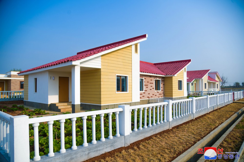 Farmers of Kumdae Farm in DPRK Move into New Houses