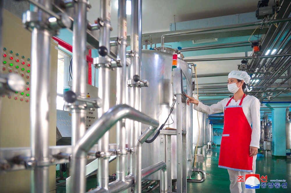 Pyongyang Children's Foodstuff Factory Boosts Production