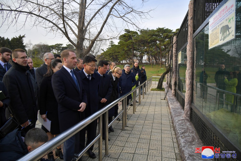 로씨야련방 정부대표단 주체사상탑 참관