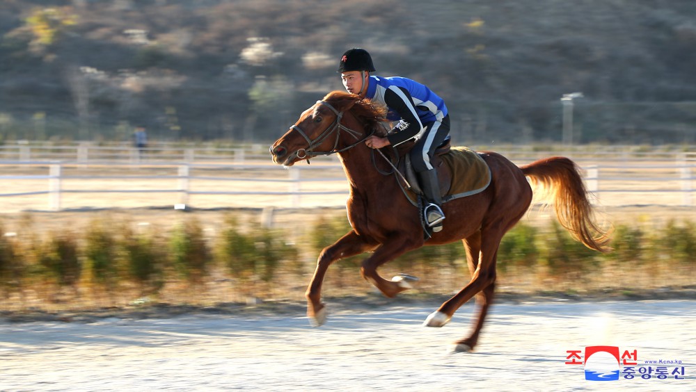 Nampho Municipal Riding Club