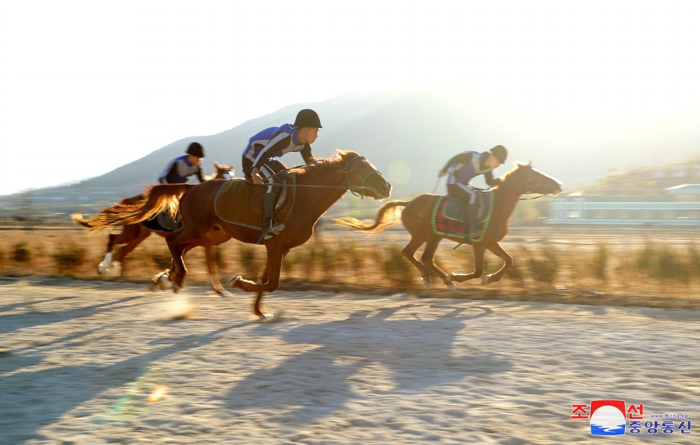 Nampho Municipal Riding Club