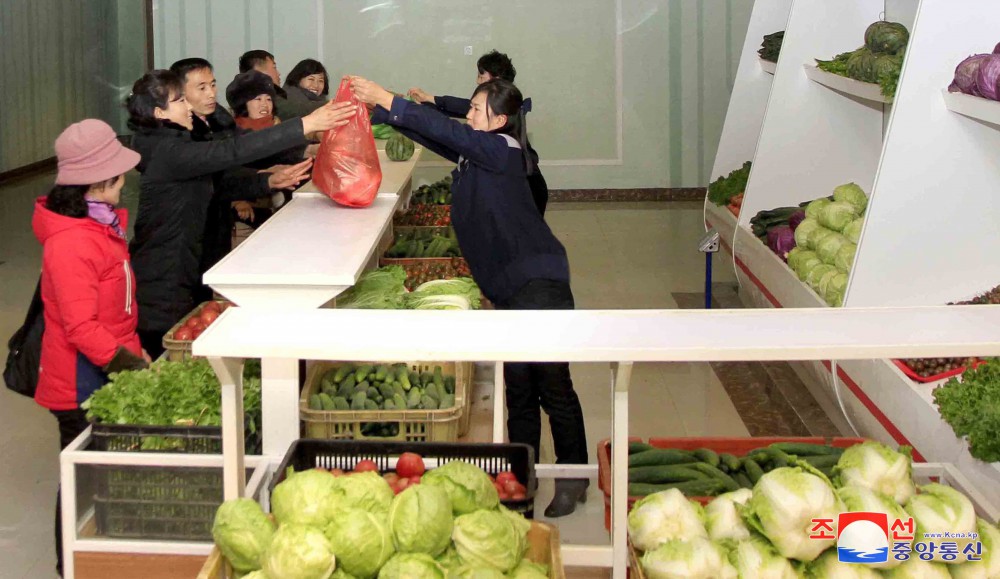 Jungphyong Greenhouse Farm Overfulfills Vegetable Production Plan for Five Years