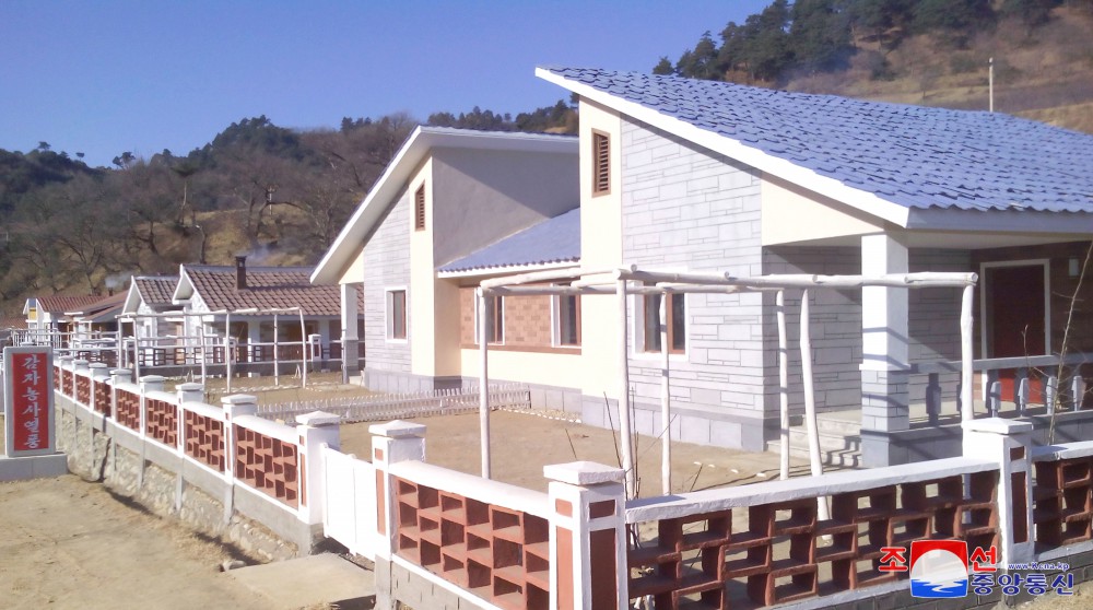 New Houses Built in S. Phyongan Province of DPRK