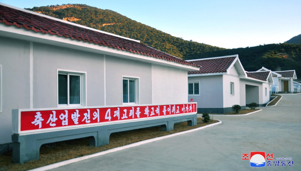 황해북도에서 축산학연구소 시험장과 검은고니분장 새로 완공