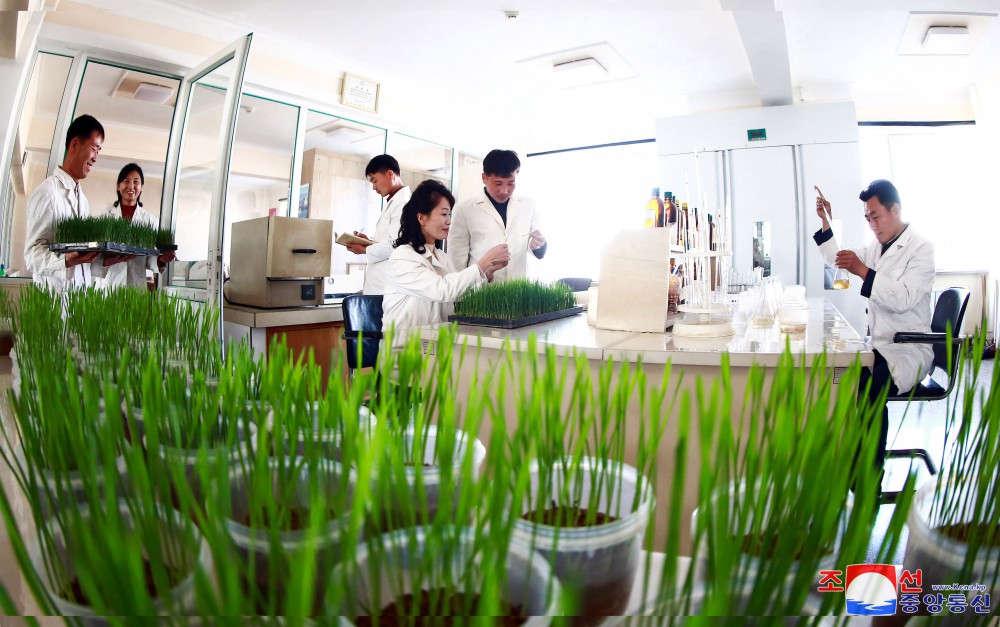 Researchers of Academy of Agricultural Sciences