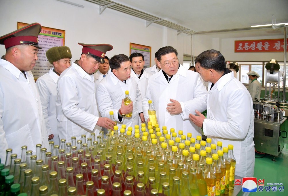 Modern Regional-industry Factories Built in Usi County of DPRK