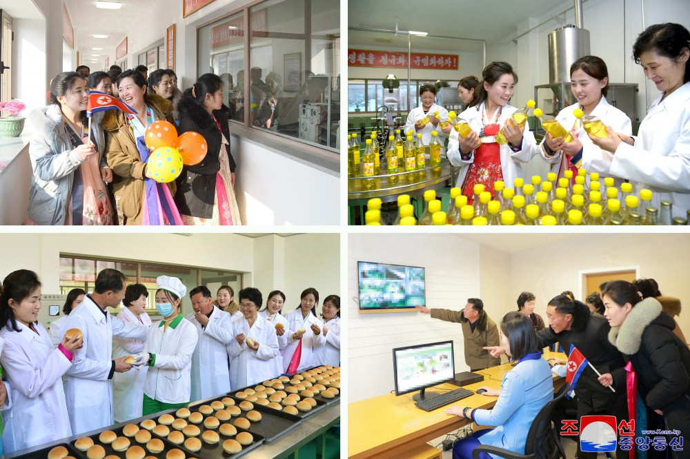 Modern Regional-industry Factories Built in Usi County of DPRK