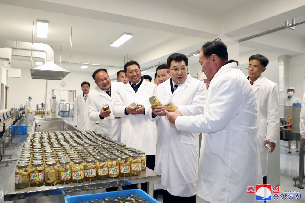 Regional-industry Factories Inaugurated in Kosan County of DPRK