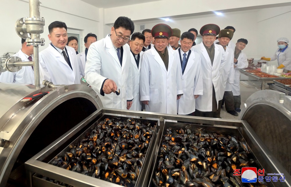 Regional-industry Factories Inaugurated in Kumya County of DPRK