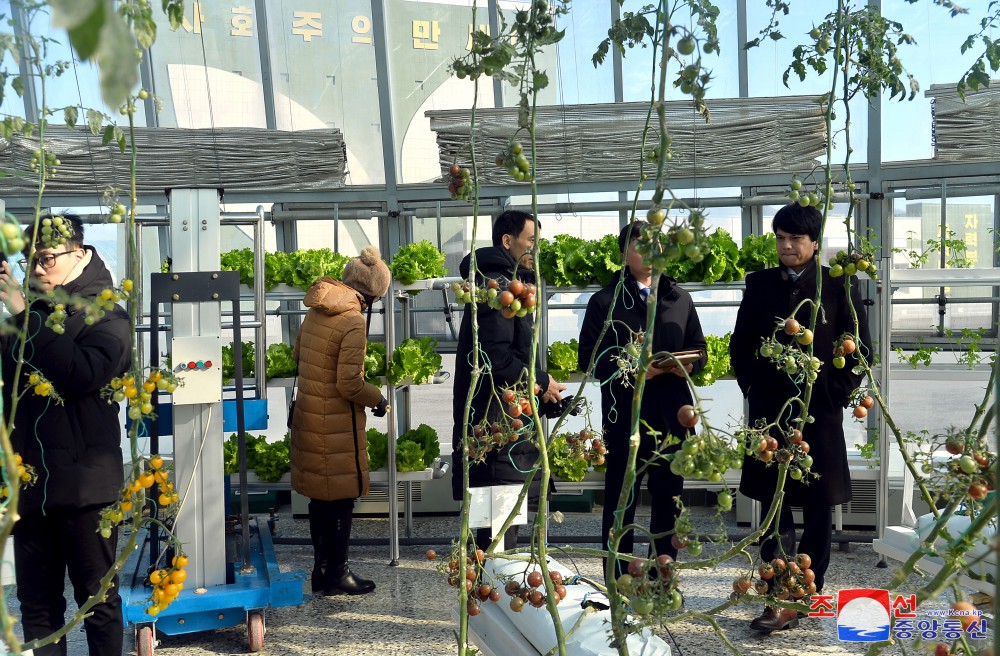 윁남대사관 성원들 강동종합온실농장 참관