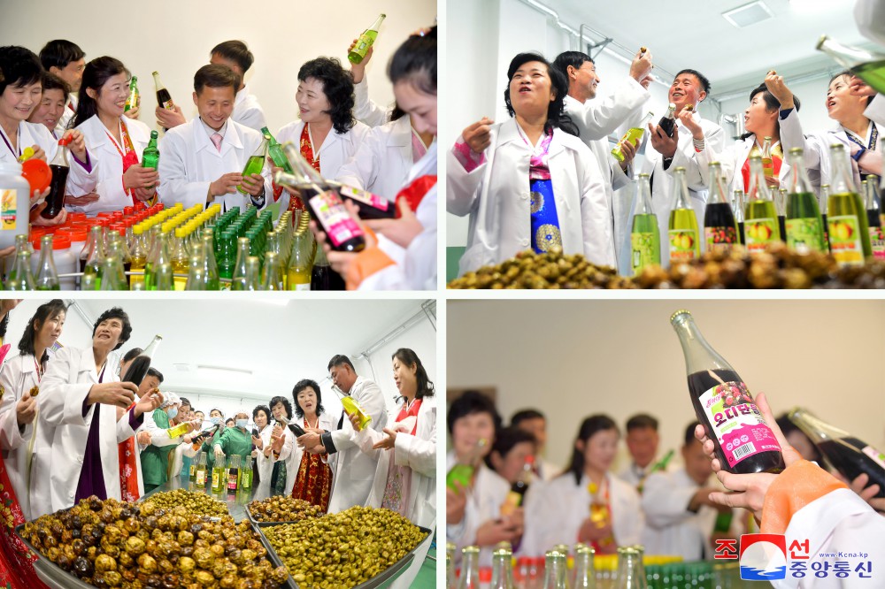 Regional-industry Factories Inaugurated in Tongsin County of DPRK