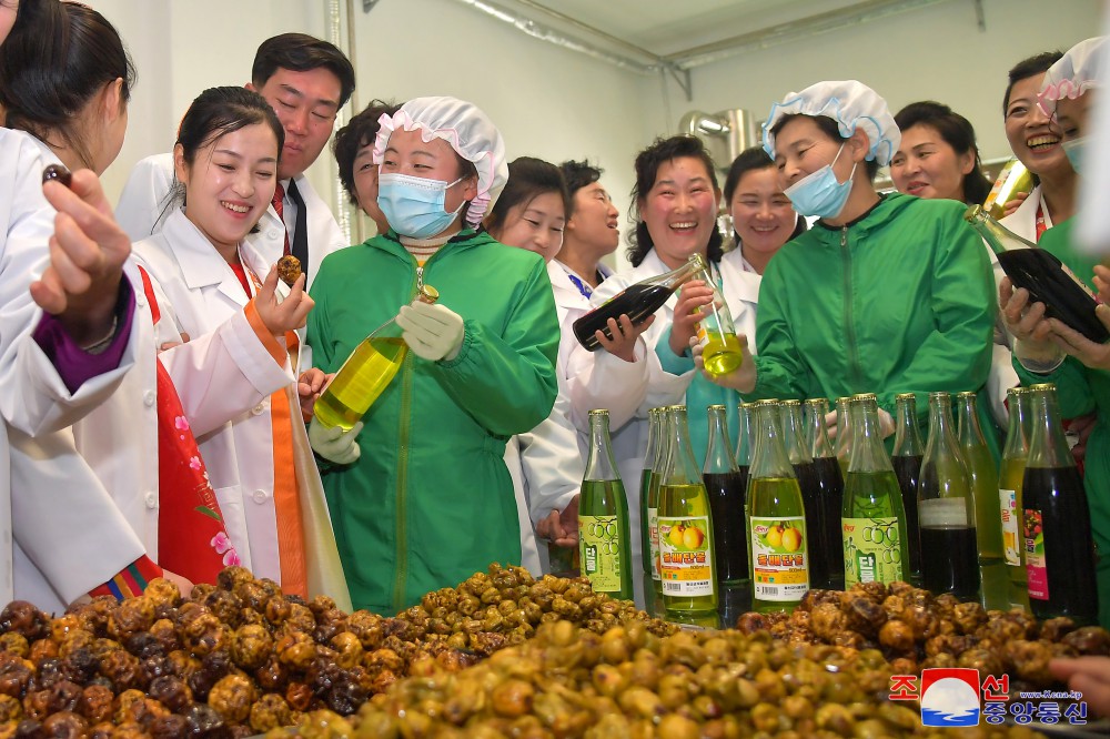 Regional-industry Factories Inaugurated in Tongsin County of DPRK