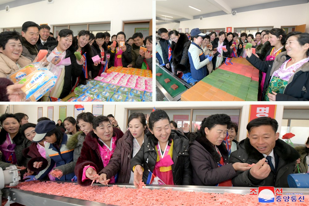 Regional-industry Factories Inaugurated in Tongsin County of DPRK