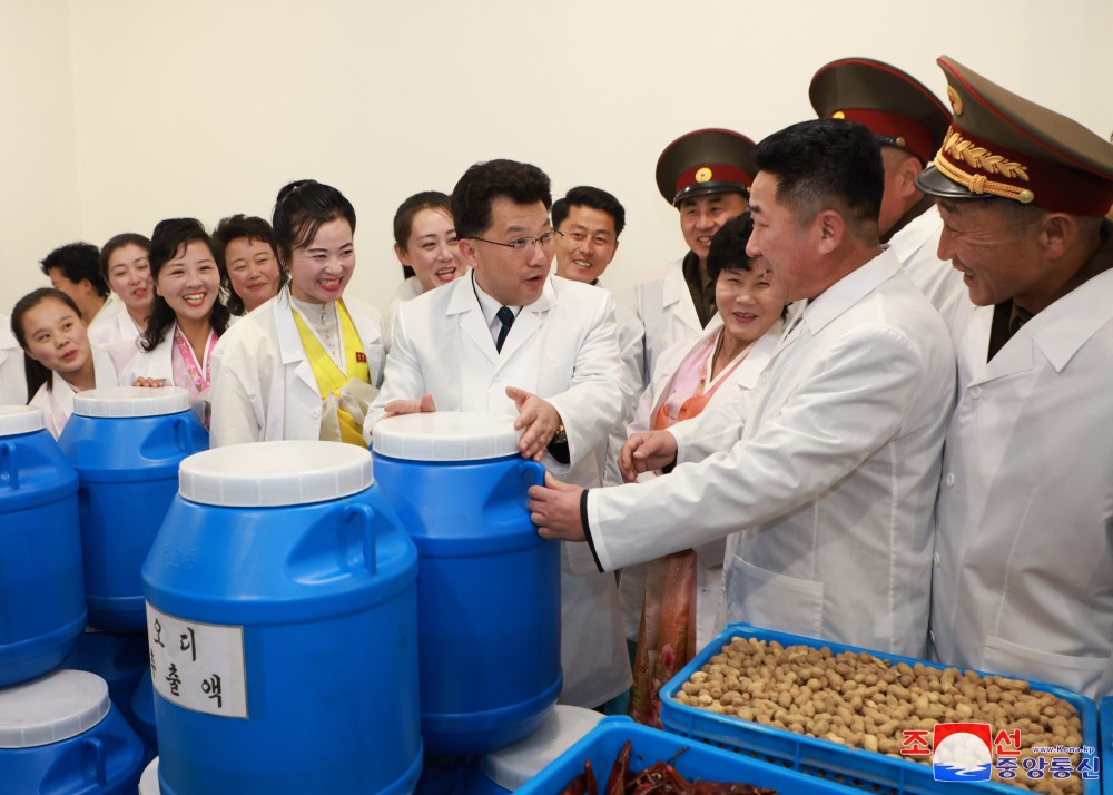 Regional-industry Factories Inaugurated in Ichon County of DPRK