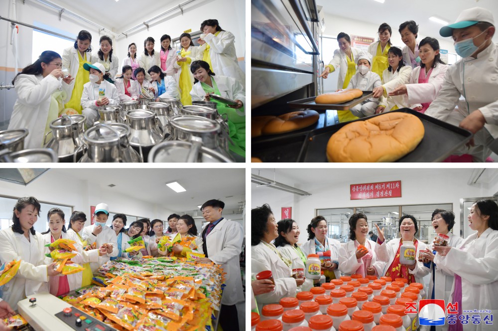 Regional-industry Factories Inaugurated in Ichon County of DPRK