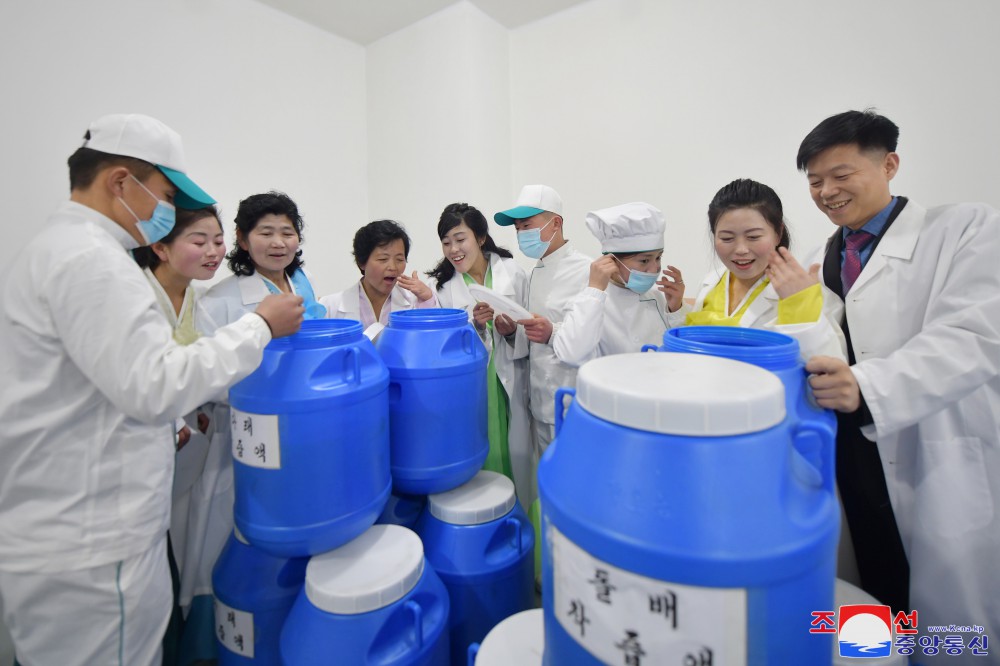 Regional-industry Factories Inaugurated in Ichon County of DPRK