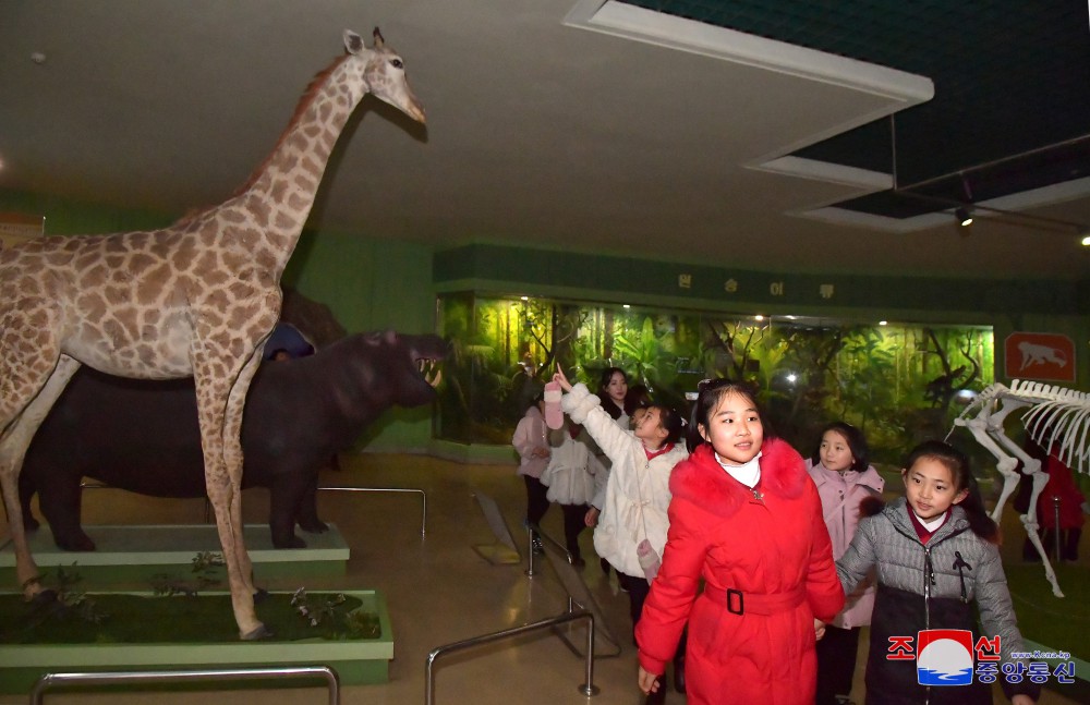 各地で小正月を楽しく過ごす