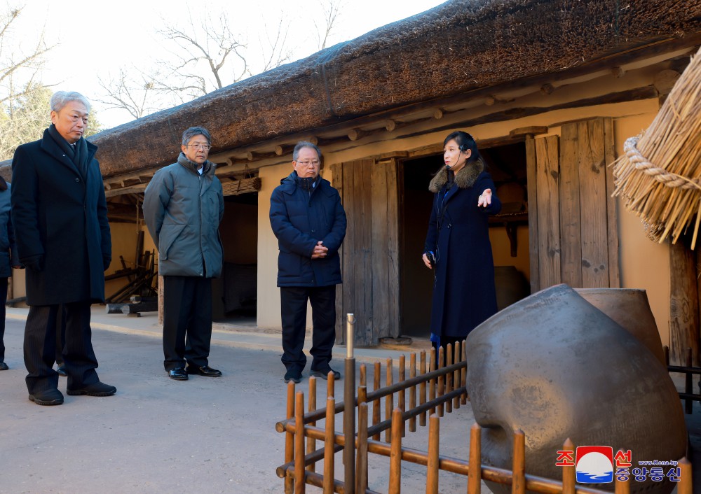 Congratulatory Group of Koreans in Japan Visits Mangyongdae