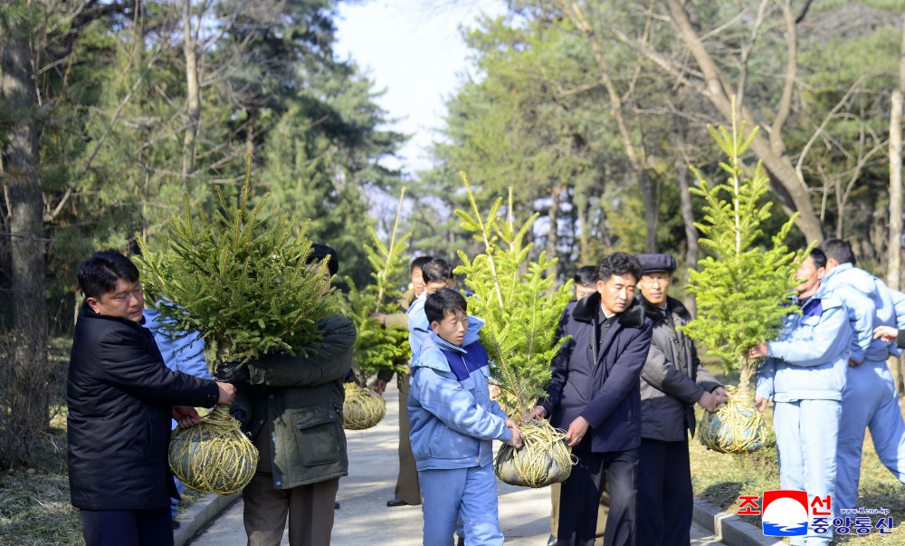 Noble Patriotic Intention Associated with Afforestation