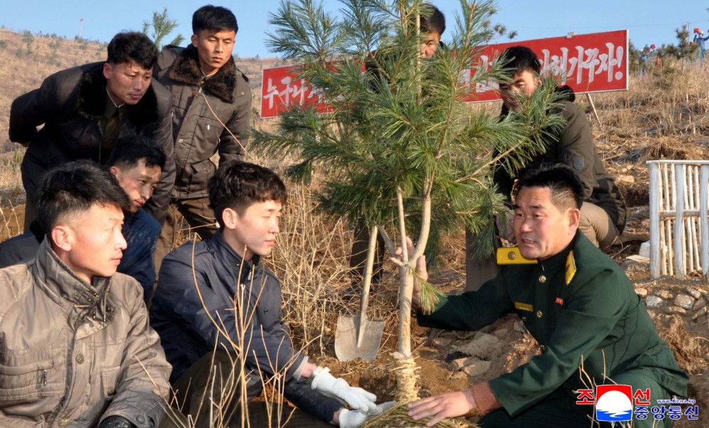 Noble Patriotic Intention Associated with Afforestation