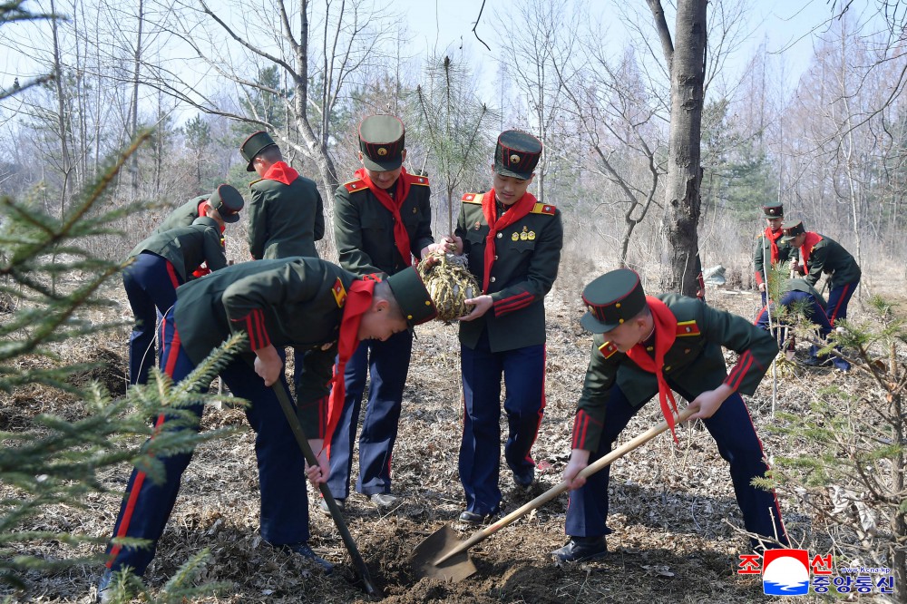 Noble Patriotic Intention Associated with Afforestation