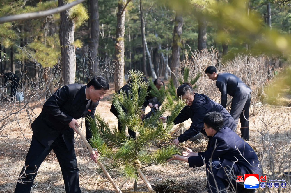 Noble Patriotic Intention Associated with Afforestation