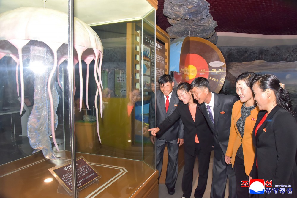 각지에서 5.1절을 뜻깊게 기념