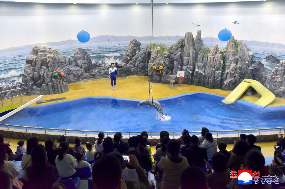 각지에서 5.1절을 뜻깊게 기념