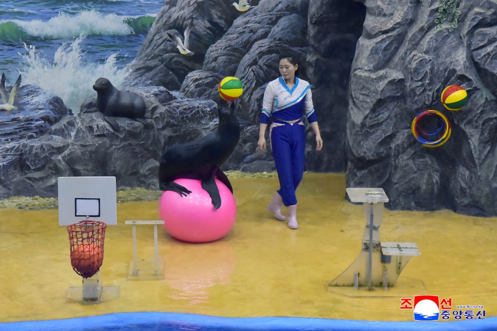각지에서 5.1절을 뜻깊게 기념