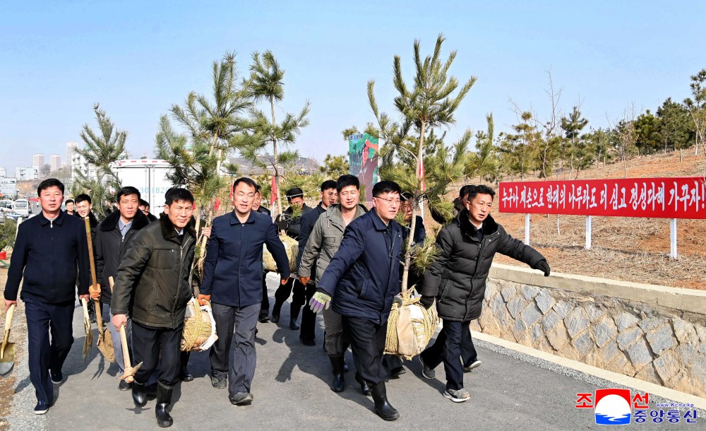 Many Trees Planted in DPRK