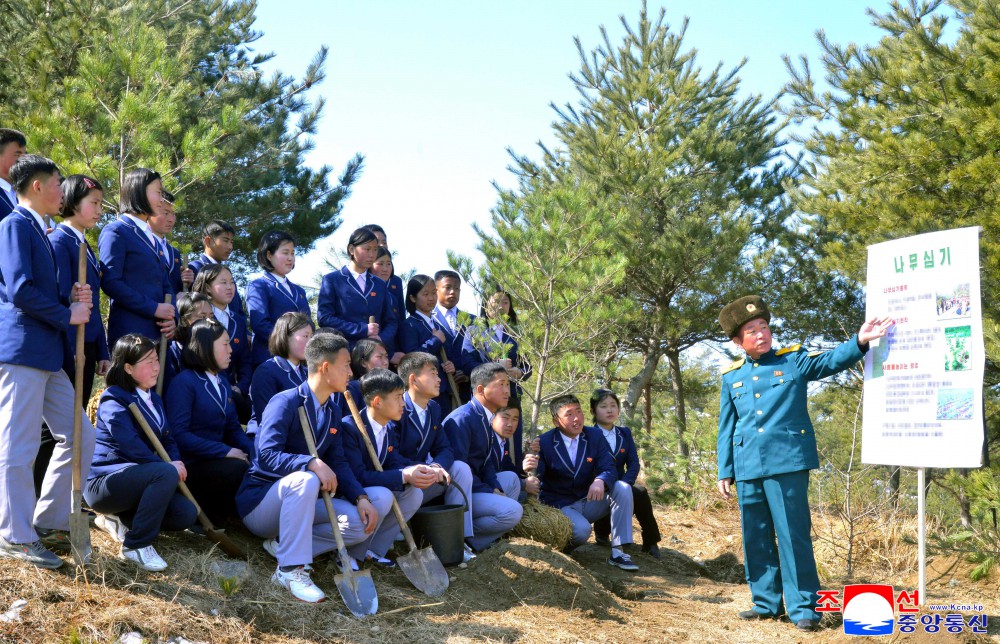 Many Trees Planted in DPRK