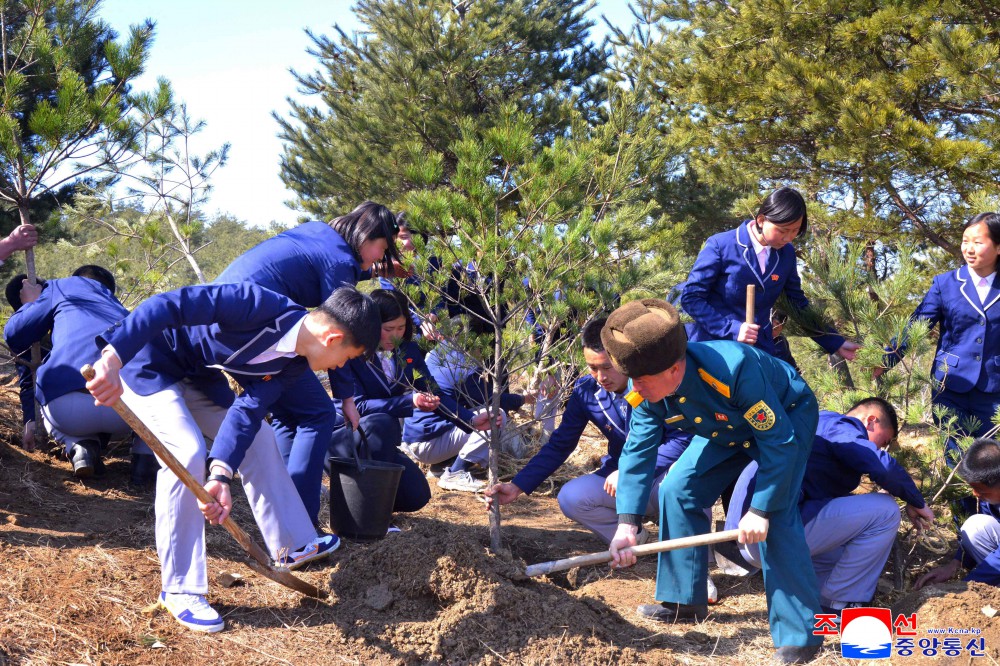 Many Trees Planted in DPRK