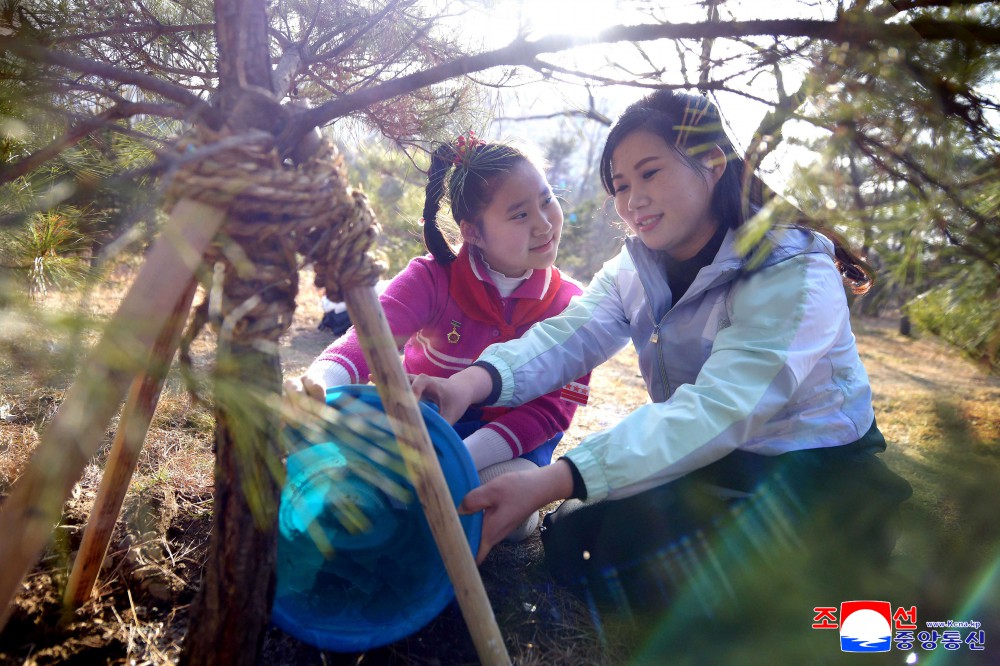 Many Trees Planted in DPRK
