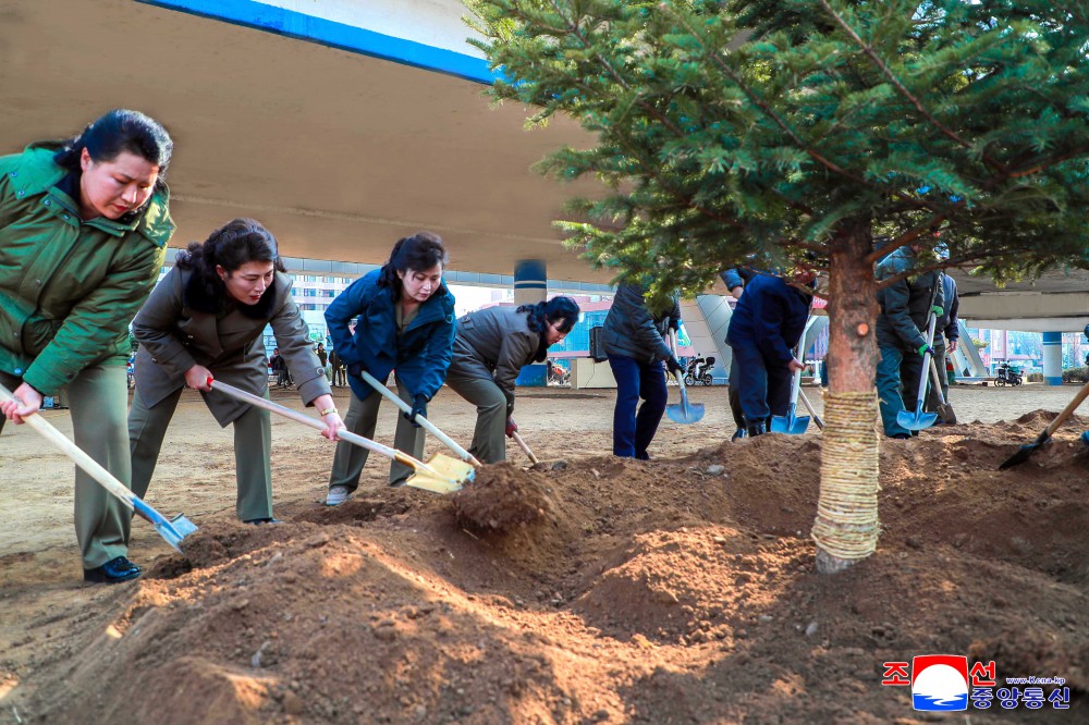 Many Trees Planted in DPRK