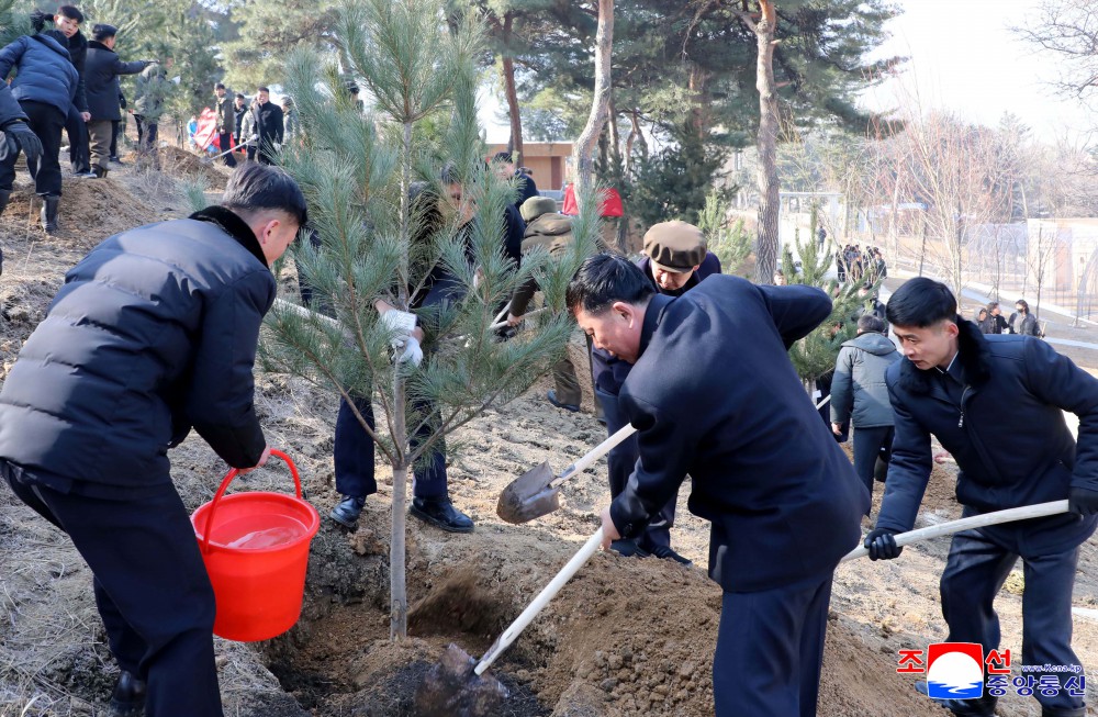 Many Trees Planted in DPRK