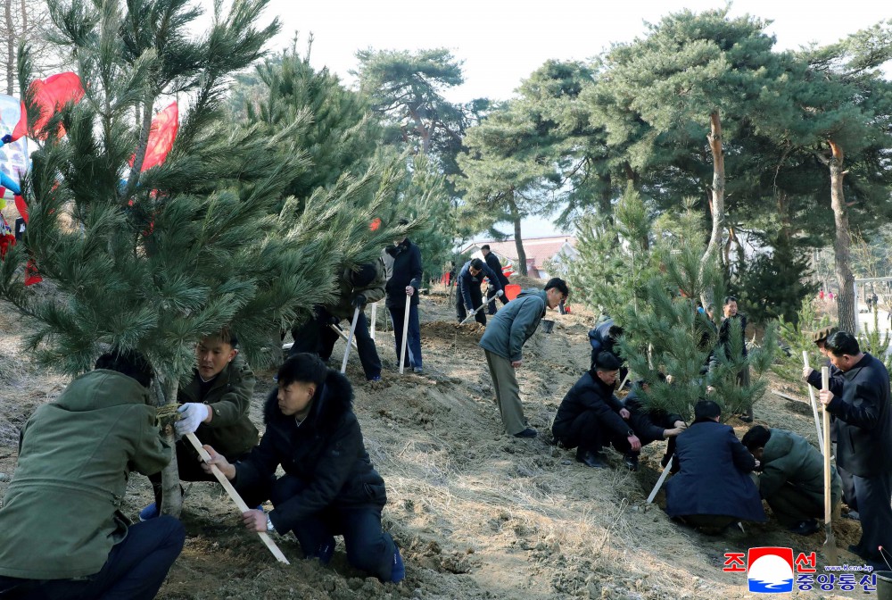 Many Trees Planted in DPRK