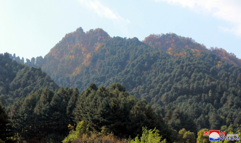 Unsan County in North Phyongan Province Takes Lead in Land Management
