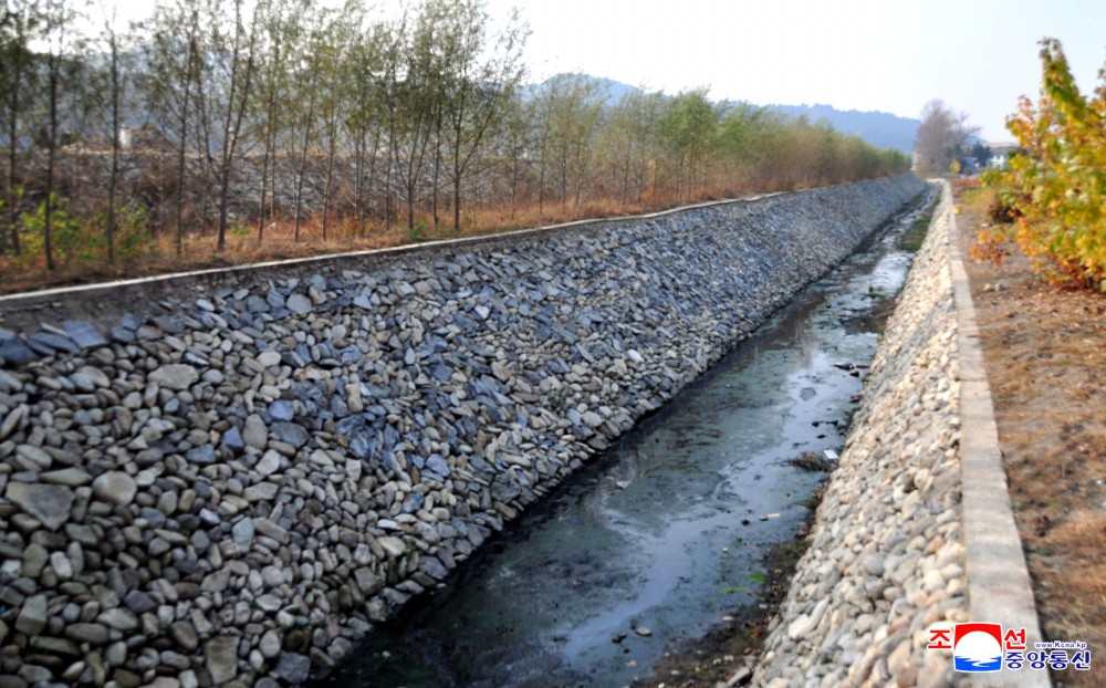 Unsan County in North Phyongan Province Takes Lead in Land Management