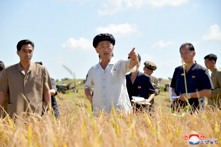 Kim Tok Hun supervisa la rama agrícola de la provincia de Hwanghae del Sur