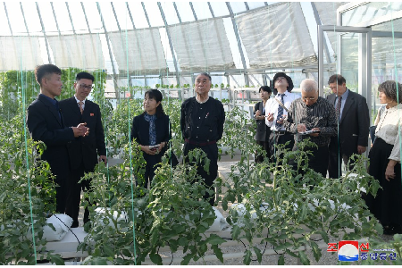 Japanese Delegation Tours Pyongyang