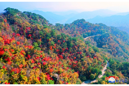 ﻿Осенний пейзаж на горах Кувор