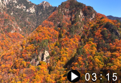 Autumn of Mt Myohyang
